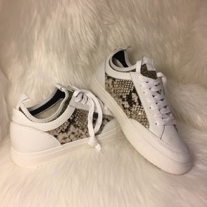 Steve Madden Bliss Sneaker